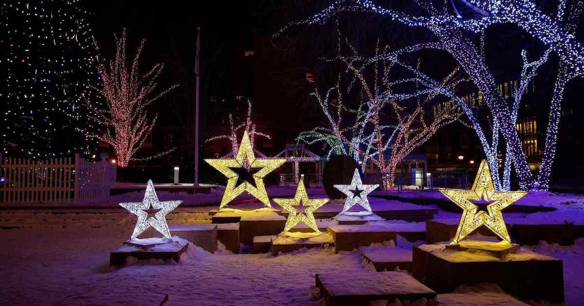 outdoor Christmas light display of bright stars and sparkling trees 
